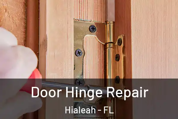 Door Hinge Repair Hialeah - FL