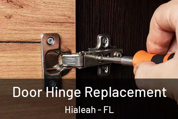 Door Hinge Replacement Hialeah - FL